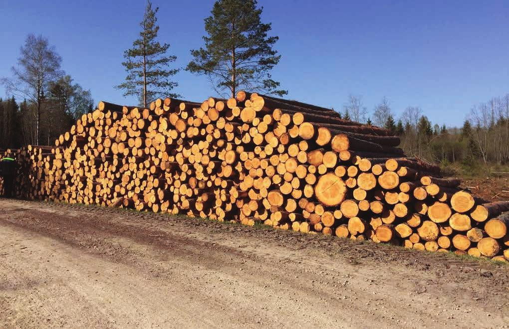 Uzņēmuma jaunievedums ļauj veikt precīzu koksnes uzmērījumu un izsekot tās tālākai apstrādei mežā līdz pat pārdošanai.