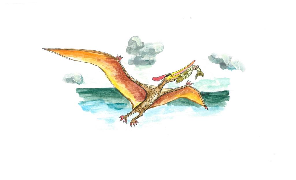 Pteranodons Pteranodona vārds nozīmē,,bezzobains spārnainis.