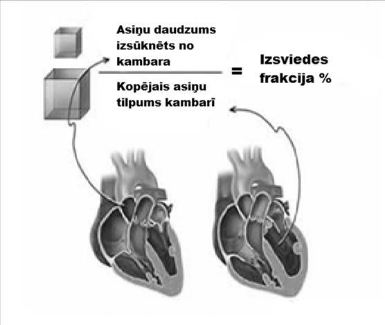 Kreisā kambara EF atspoguļo kreisā kambara tilpuma izmaiņas viena sirds cikla laikā, respektīvi, asiņu daudzumu, kas paliek sirds kreisajā kambarī pēc kambaru sistoles: EF = (EDV ESV)/EDV 100%, kur