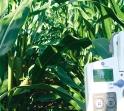 (Citāts no Latvijā oficiāli reģistrēta marķējuma) Intensīvāka augšana Efektīvāka fotosintēze Augstāks hlorofila saturs Vairāk uzņemtu barības vielu Efektīva slimību kontrole Augi labāk pārvar stresa