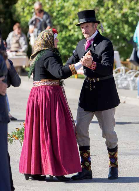 Characteristics of the Suiti The Suiti are seen as the most spiteful and conservative residents of the historical region of Kurzeme.