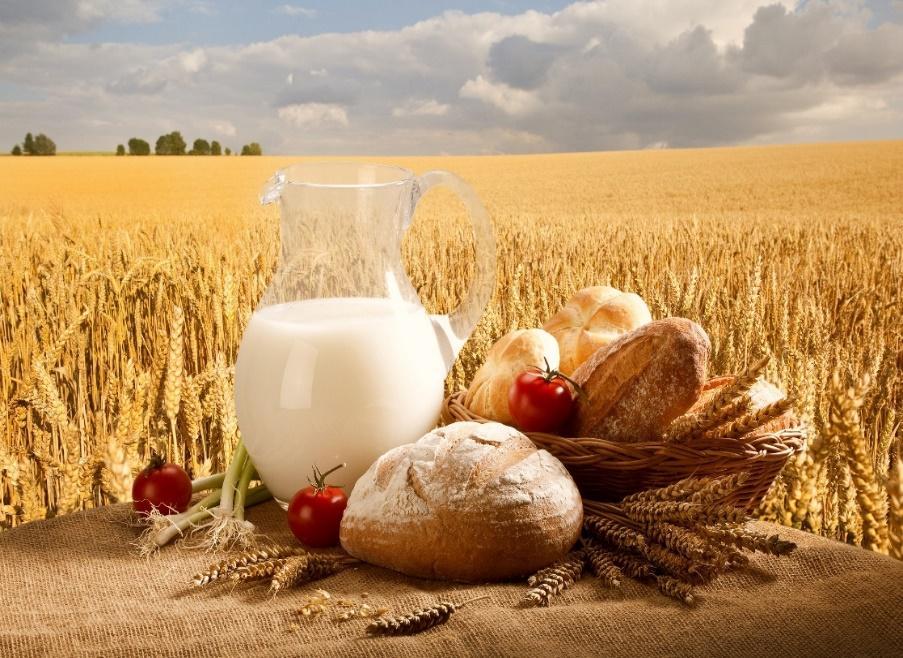 Šodienas maize un maizes izstrādājumi sastāvdaļas «ar pievienoto vērtību» /pilngraudu, rupja maluma milti, sēklas, graudi u.c.