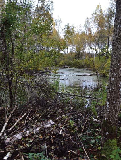 maijā Latvijas Vides Aizsardzības fonda padome apstiprināja Dagdas novada pašvaldības projektu Īpaši aizsargājamo dabas teritoriju dabas aizsardzības plāna pasākumu ieviešana Dagdas novadā.