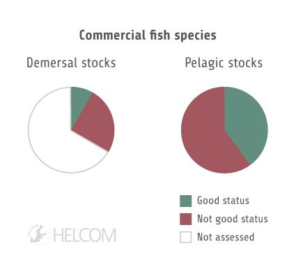 9 komerciāli nozīmīgas zivju sugas, seši ir sliktā stāvoklī, trīs labā un astoņiem nav novērtējuma rezultātu (2. Attēls).