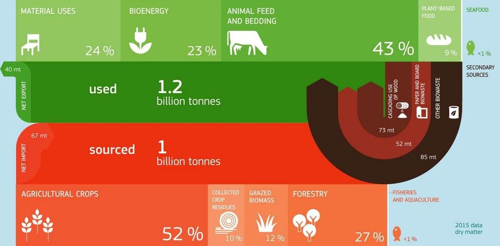 Lauku un reģionālās bioekonomikas rokasgrāmata 17 nekonkurētu ar pārtikas un lopbarības ražošanu. Atjaunojamajām izejvielām ir vairākas priekšrocības salīdzinājumā ar fosilajiem resursiem.