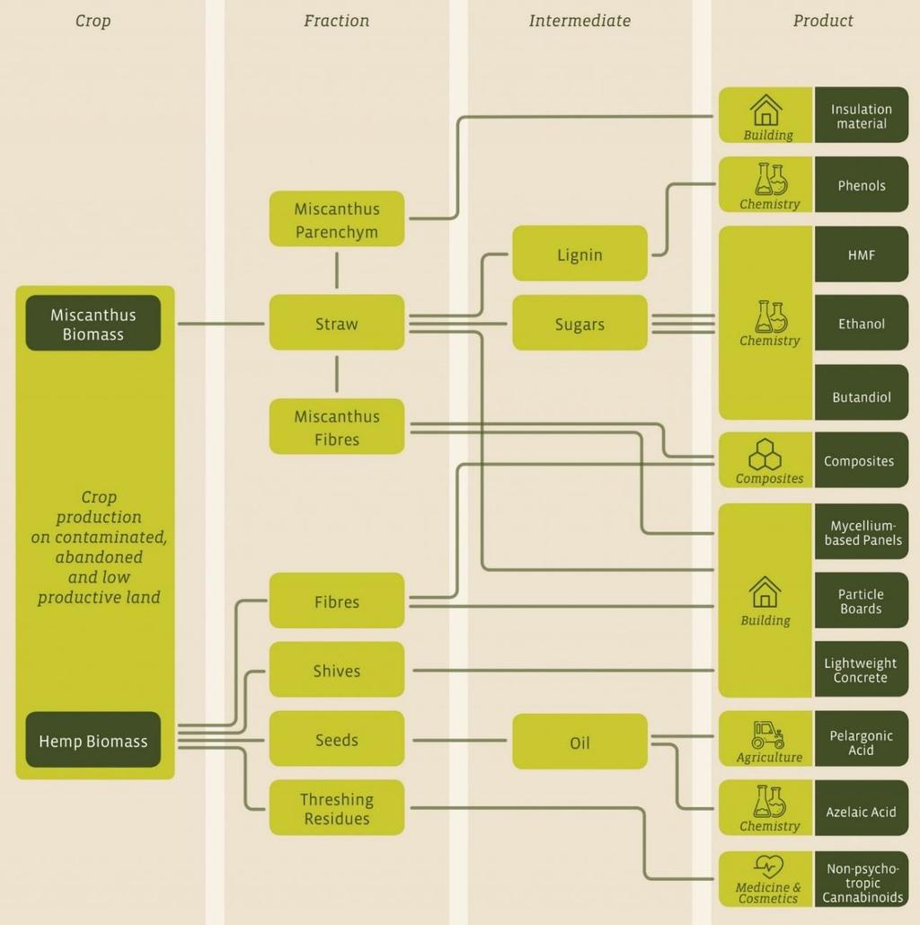 Lauku un reģionālās bioekonomikas rokasgrāmata 19 Attēls 5: Kaņepju un miskantes izmantošanas veidi un lietošana dažādos produktos (Bioökonomie BW 2019) Biomasas pārveide Biorafinēšanā var tikt