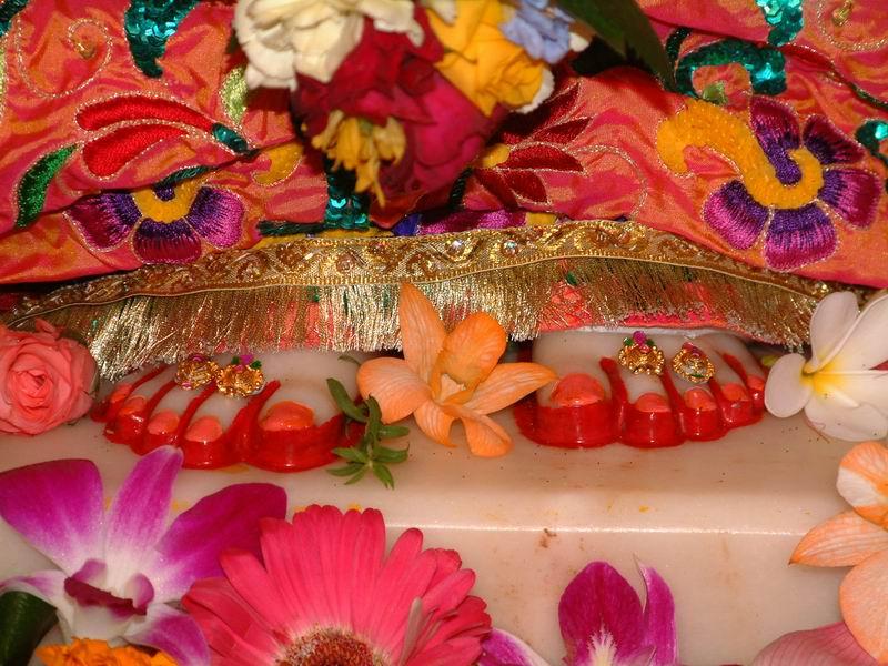 The Louts Feet of Srimati Radharani. jaya jaya rädhe mädhava-dayite gokula-taruëé-maëòala-mahite Rädhä, all glories, all glories to You!