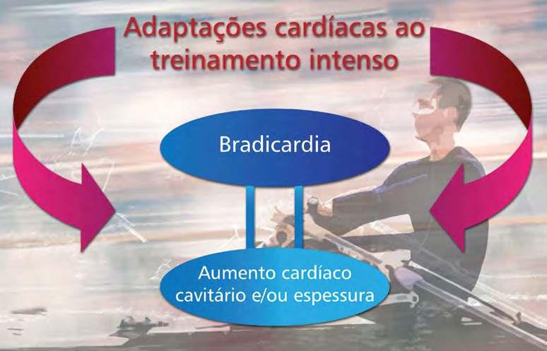 cardiovasculares conseqüentes à interação de fatores centrais e periféricos.