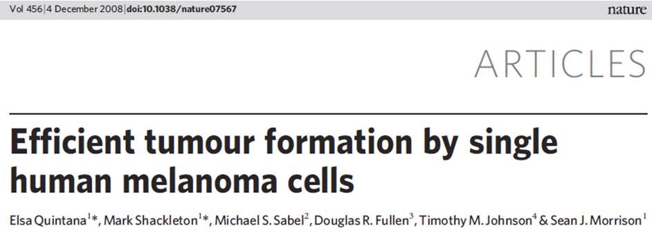 Bet... Iespējams, ka ksenografti selekcionē šūnas, kas ir spējīgas augt svešā (peles) mikrovidē; fakts, ka vairums CSC marķieru ir iesaistīti šūnu adhēzijā vai kontaktu veidošanā to
