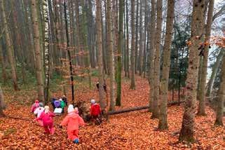 6 SCHULE Mitteilungsblatt Gemeinde Hauptwil-Gottshaus, Dezember 2020 SCHULEN GOTTSHAUS Waldbesuche der Unterstufe Jede zweite Woche gehen wir, die Unterstufenklasse vom Hoferberg, in den Wald.