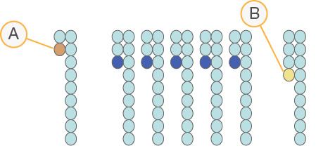 Fāzēšanas korekcija Sekvences reakcijas laikā katra klasterī esošā DNS virkne tiek paplašināta par 1 bāzi katrā ciklā.