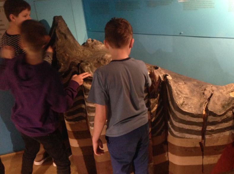 Uz šo jautājumu skolēni atbildēja mācību vizītes laikā. Pēc nodarbības skolēni dalījās iespaidiem. Mēs bijām mācību stundā Latvijas Dabas muzejā. Stunda bija par fosilajām Latvijā.