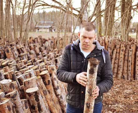 LAUKU ATTĪSTĪBA Jelgavas novadā, pašā Elejas ciemata nomalē, savu šitake sēņu audzēšanas izmēģinājuma laboratoriju ir izveidojis jaunais uzņēmējs Jānis Volksons.