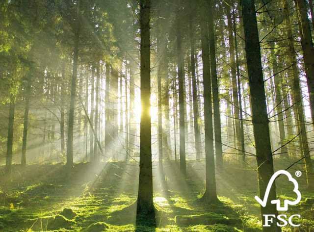 12 praktiski padomi FSC mežu sertifikācija kļūst pieejamāka Pasaulē nepārtraukti pieaug pieprasījums pēc sertificētas koksnes un dažādiem koksnes izstrādājumiem mēbelēm, sadzīves priekšmetiem u.c., kas marķēti ar FSC* preču zīmi tas nozīmē, ka koksne ir iegūta no saudzīgi apsaimniekotiem mežiem.