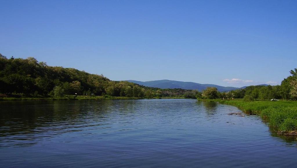 HRONAS UPE Hrona ir mūsu otrā garākā upe. Hronas garums ir divi simti deviņdesmit astoņi kilometri.