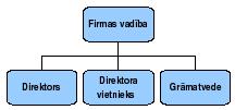 6. modulis. DIAGRAMMAS, ZĪMĒTI OBJEKTI 6.4.2. Organizācijas diagrammas Organizācijas diagrammas jeb blokshēmas ļauj uzskatāmi parādīt kādu objektu vai sistēmas elementu hierarhiju (pakārtotību).