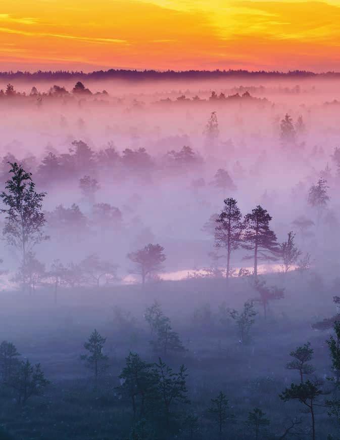 DABAS BRĪNUMI UN MISTĒRIJAS Latvija ierindota pasaules zaļāko valstu saraksta augšgalā, un nekur citur pilsētas un dabas simbiozi neizjutīsiet tik spēcīgi kā Jūrmalā.
