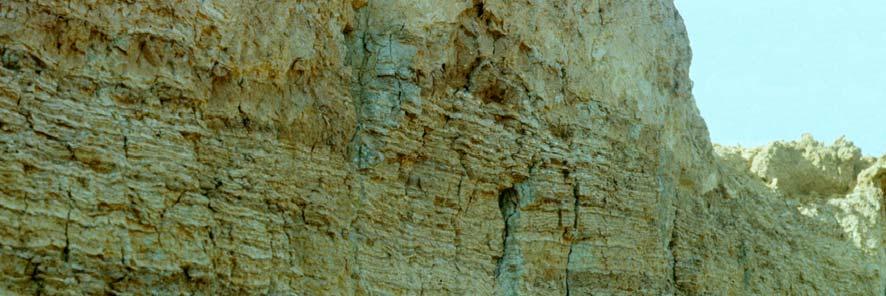 apgrūtinātas noteces apstākļos Nīcgaļu purvā, Mazajā pūreņā, Osinugas purvā u.c. izveidojušies un turpina uzkrāties jaunāki holocēna purva (bq 4 ) nogulumi. 3.2.1.att.