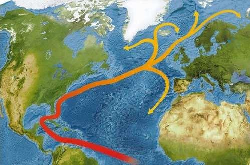 Golfa straume Okeānu ūdeņu plūsmas raksturo izteikts to aprites cikls (1400 1600 gadi), un to raksturs būtiski ietekmē klimatu.