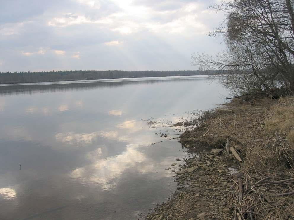 Skats no Daugavas pussalas uz pretējā krastā atrodošo Birzgales pagastu 7.18. att.