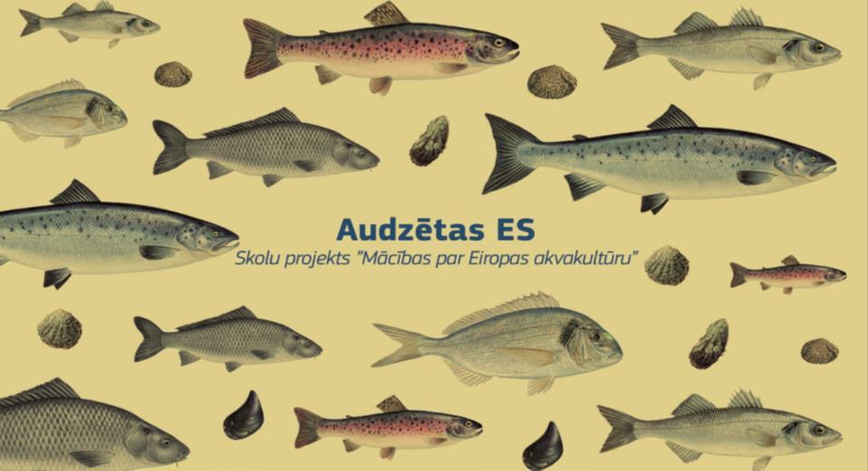 FOKUSĀ JAUNĀKA GADUGĀJUMA PATĒRĒTĀJI Iniciatīvas: AUDZĒTS ES SKOLU PROJEKTS Mācīšanās par Eiropas akvakultūru Projekts tika realizēts 10 ES