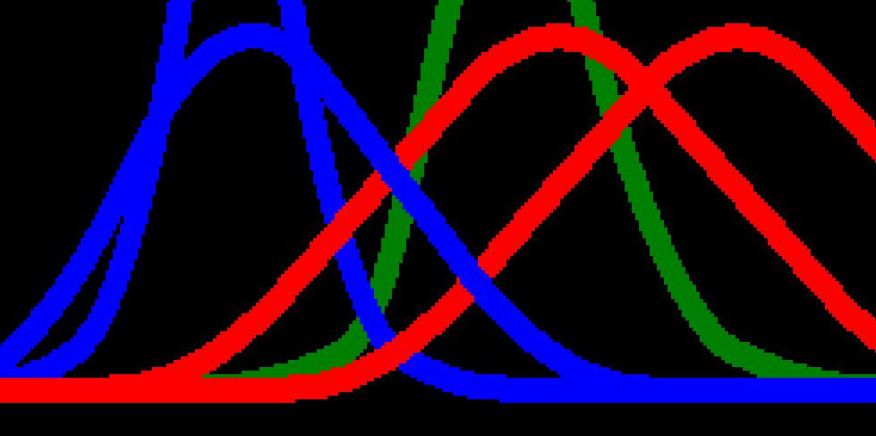 Abi krāsainie stari tīkleni krusto dažādos punktos. Dēļ caurumiņa galējo pozīciju simetrijas pret acs optisko asi, staru krustpunktu pāri pie šim galējām pozīcijām arī ir savstarpēji simetriski, t.i., apmainās vietām.