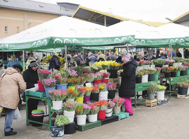 Centrāltirgū plaukst pavasaris! Kādas ir ziedu cenas, sākoties jaunajai ziedu tirdzniecības sezonai, uzzini 4. lpp.
