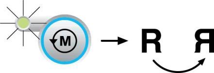 Kameras apgaismošanas sistēmas ieslēgšana. Nospiediet pogu FIBER OPTICS (ŠĶIEDRU OPTIKA), lai ieslēgtu vai izslēgtu kameras apgaismošanas sistēmu. SPOGUĻATTĒLA funkcija.