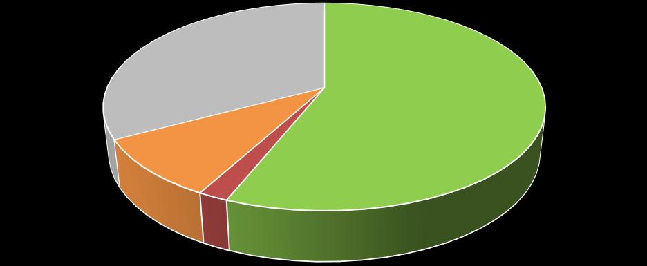 18.attēls Pašvaldības pamatbudžeta ieņēmumu struktūra 2015.gadā(%).
