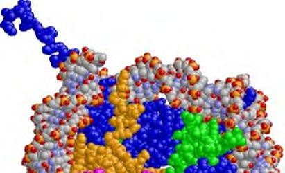 asti DS atomi PK krāsu shēmā ukleoproteīni ukleīnskābes 146