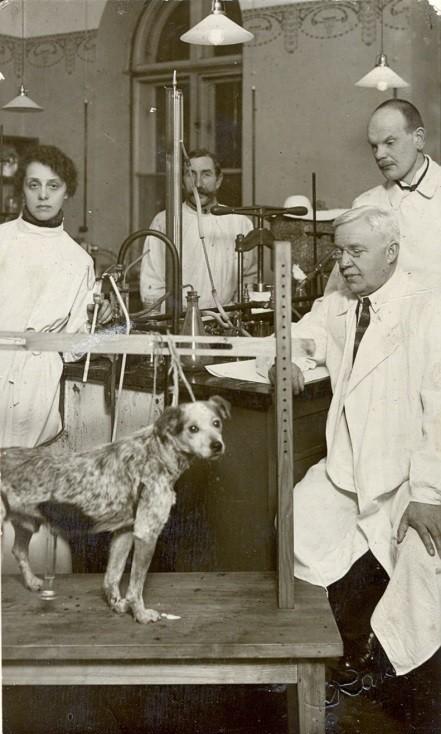 PROFESŪRA UN STUDENTI 1920 oktobrī G. Bakmanis lika pamatus Anatomijas muzejam, kura pamatu veidoja viņa līdzatvestā kolekcija no Zviedrijas, kā arī kauli no izrakumiem.