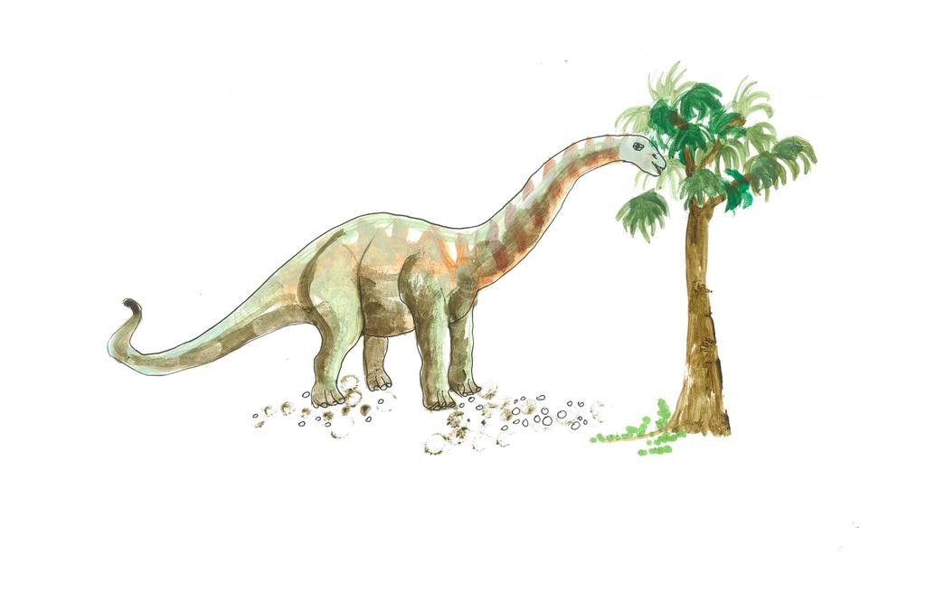 Dinozauri Autors nav zināms Daces Mažeikas redakcijā Amandas Krūmiņas ilustrācijas Dinozauri bija seni dzīvnieki, kas izmira, pirms pasauli sāka apdzīvot cilvēki.