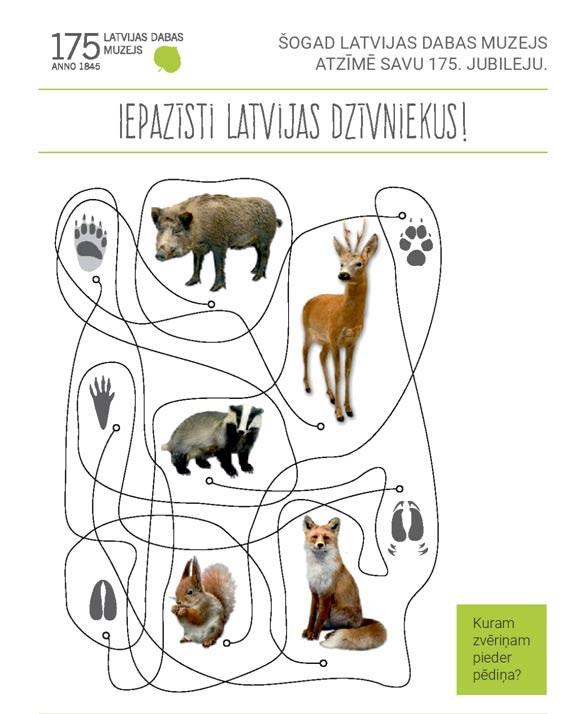 com/radosas_ darbnicas/ Radošā iniciatīva tiek īstenota pateicoties sadarbībai ar Latvijas Dabas muzeju, kas šogad atzīmē 175. jubileju. Iepazīstam Latvijā sastopamos dzīvniekus kopā!