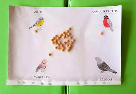 Spēli var izmantot dabaszinībās, matemātikā, sociālajās zinībās u. c. Didaktiskā spēle,,pabaro putniņus Mērķis: bērni zina kopīga skaitļa nozīmi.