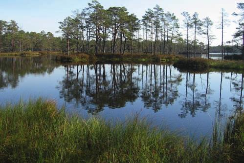3160 3160 Distrofi ezeri Latvijas biotopu klasifikators: C.3.2.1. Sintaksonomija: Utricularietalia.