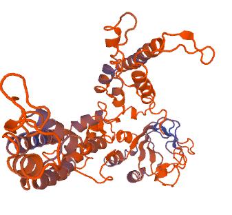 6). Tā kodētais proteīns ir saistīts ar ERG (Ether-A-Go-Go-related gene 2), kas nosaka uzvedību