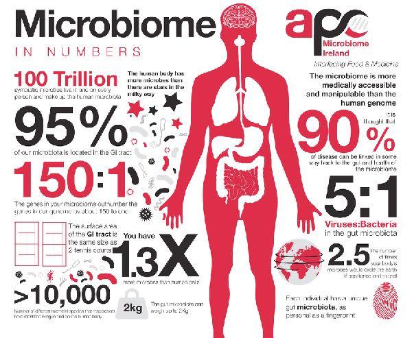 World Microbiome Day. 02.12.2019.