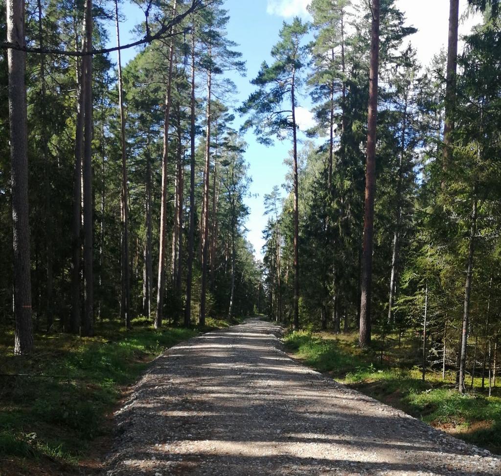 Apstiprināts ar AS Latvijas valsts meži