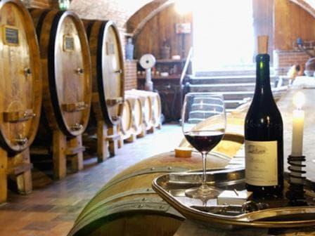 Vīni tiek nogatavināti senajos vīna pagrabos, kas te atrodas jau no 16.gadsimta un ir ideāla vieta vīna gatavināšanai.