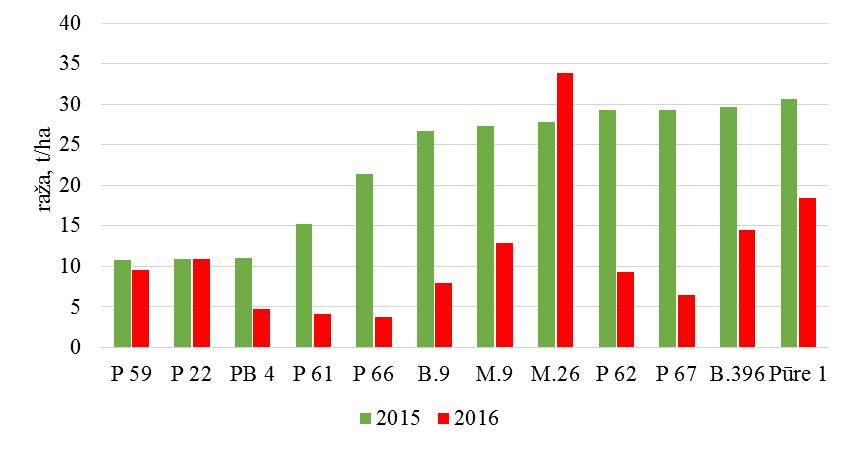 Raža no dārza platības 2015. un 2016. gadā, `Auksis` Dotajā izmēģinājumā kokiem sāk veidoties ražas periodiskums 2014. gadā raža bija maza, 2015. gadā laba un 2016. atkal mazāka.
