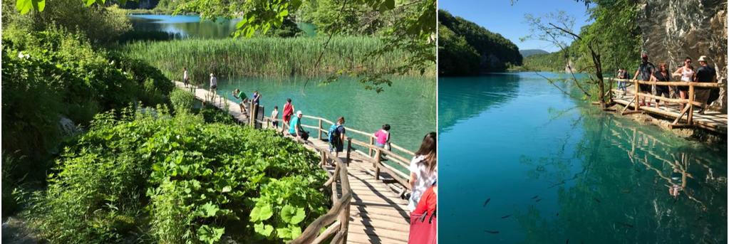 Viss krāšņums gulst 16 ezeros, ko ieskauj biezie, zaļie meži, ūdenskritumos un brīnišķīgajās pastaigu takās. Ne velti Plitvices ezeru nacionālais parks iekļauts UNESCO mantojumā.
