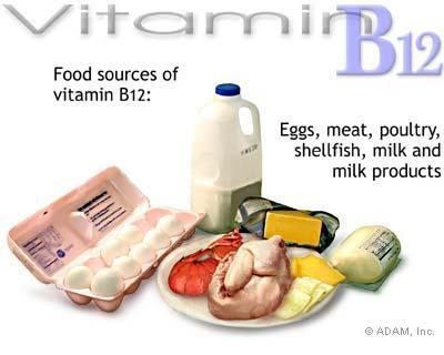 B12 vitamīns, Cobalamin Koenzīms nukleīnskābju vielmaiņā, nodrošina šūnu