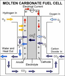 Kurināmā elementu tipi Kausēta karbonātu sāļu kurināmā elements (Li,K,Na) 2 CO 3 / CO 3 2- ) 650 C Darbojas ar dažādām degvielām (iekšēja reformēšana) Liela efektivitāte Augsta temperatūra