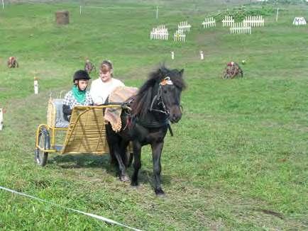 Sacensības zirgu paj gu vadīšanā 2013. gada 26. maijā Rēzeknes novada labie darbi izskanēja Balvu novada Tilžā, kur notika draudzības sacensības zirgu pajūgu vadīšanā iesācējiem.