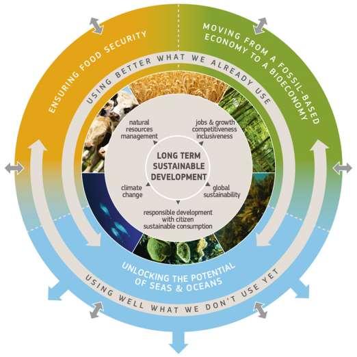 ES Bioekonomikas stratēģija (2012) Noteica 3 pīlāru politiku: Investīcijas pētniecībā, inovācijās un prasmēs