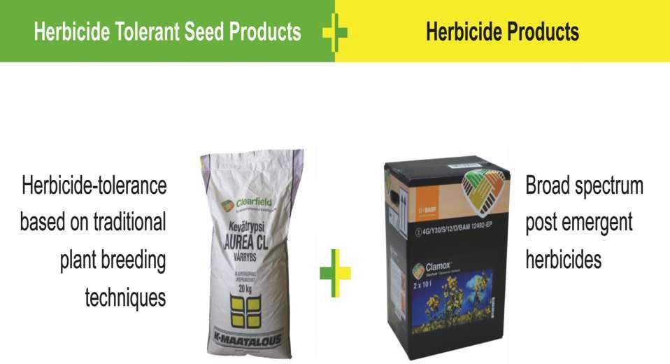Clearfield audzēšanas tehnoloģija Pret herbicīdu noturīga sēkla