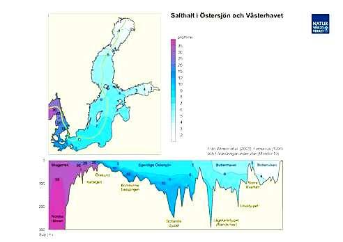 Baltijas jūras sāĝuma karte SāĜums Baltijas jūrā ir zems, līdz ar to ir