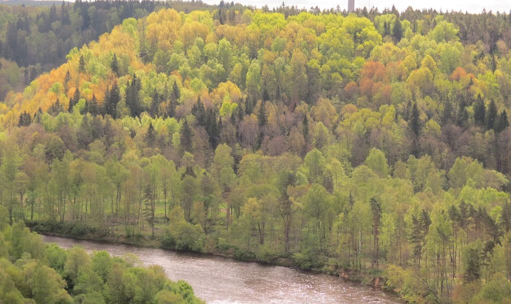 Meža resursi Latvijā, to nozīme tautsaimniecībā Latvija ir mežu zeme, un mežs nereti tiek dēvēts par Latvijas zaļo zeltu. tuvojās 40 %. Kopš 2000. gada meža platība palielinājusies par 373 tūkst.
