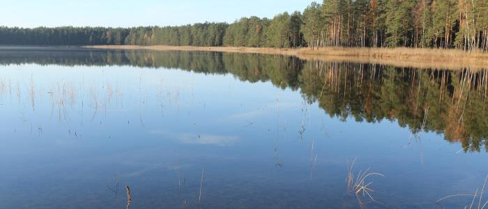 Izveidošanas mērķi Dabas liegums tika izveidots, lai aizsargātu Latvijā ļoti retu ezeru tipu - oligotrofu ezeru ar Dortmaņa lobēlijas augsnēm un ļoti reti sastopamām un aizsargājamām ūdensaugu sugām.